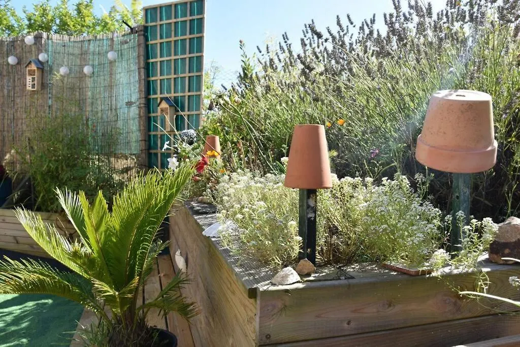 Vakantiehuis Blaz An Holen - Maison Avec Jardin A Guimaec Saint-Jean-du-Doigt